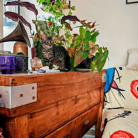 Apartamento Pres De La Plage, Un Coin Paradis !