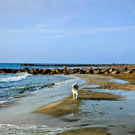 Appartement Près De La Plage, Un Coin Paradis ! *