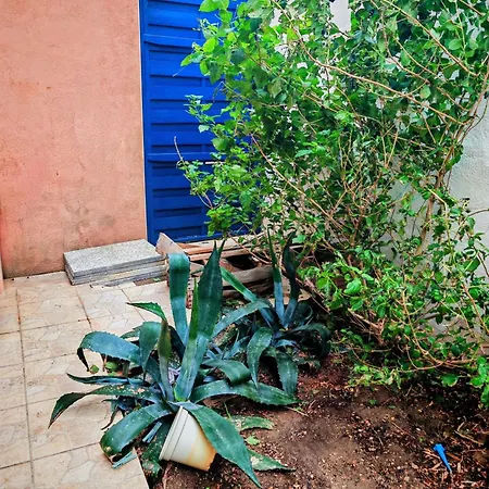 Apartamento Pres De La Plage, Un Coin Paradis ! Frontignan
